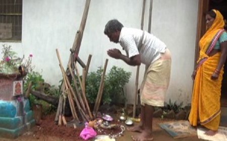 छत्तीसगढ़ का परंपरागत तिहार हरेली