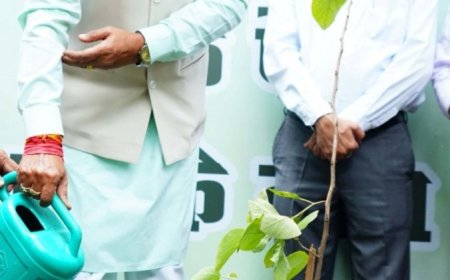 विशेष लेख : आइए इस हरेली धरती माँ का श्रृंगार करें, एक पेड़ मां के नाम लगाएं