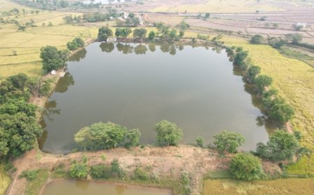 अमृत सरोवर तटों पर स्वतंत्रता दिवस पर होगा ध्वजारोहण