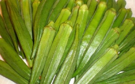 वजन घटाने में मदद करेगा भिंडी का पानी