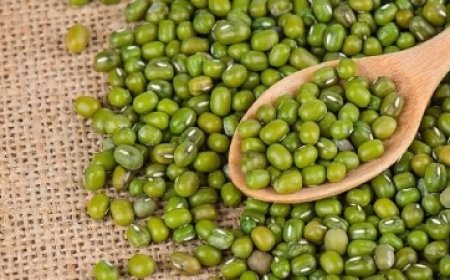 पोषक तत्वों से भरपूर है मूंग दाल