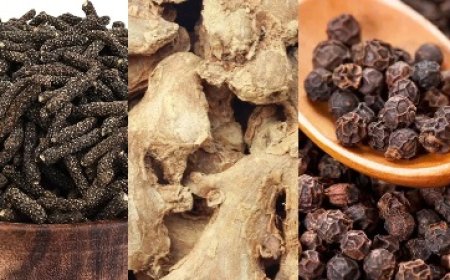 3 चीजों से बनाकर रख लें ये त्रिकुट चूर्ण... नहीं होगा जुकाम