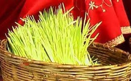 जोहार भोजली.....