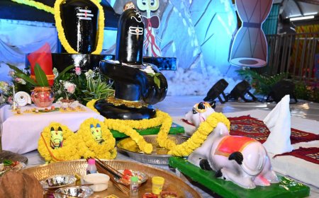 विष्णु भैया संग तीजा पोरा महतारी वंदन तिहार