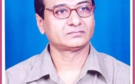 पोरा या पोला?, सुशील भोले के ये लेख बनगे सोशल मीडिया यूजर मन के पसंदीदा लेख, लोगन मन एक दूसर ल जमके करत हे शेयर...