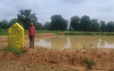 वनवासी रामप्यारे के सूखे खेतों में आई हरियाली