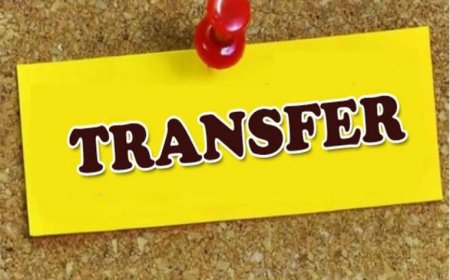 नगरीय प्रशासन विभाग में बंपर तबादले, देखें आदेश