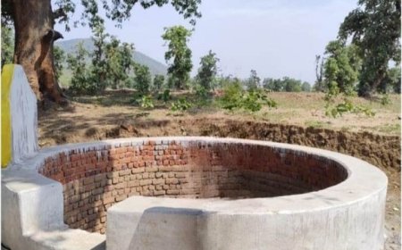 बिरसिया के सपने संवरने लगे...