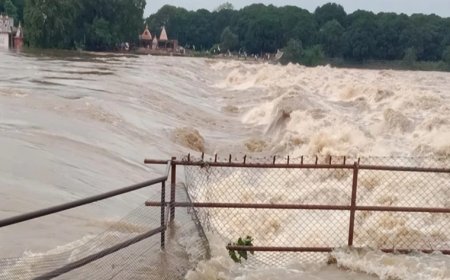 तेजी से बढ़ रहा है शिवनाथ नदी का जलस्तर, कई गांवों पर मंडराया बाढ़ का खतरा