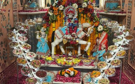 ध्वज यात्रा निकालकर बाबा का विशेष श्रृंगार करके लगाया गया 56 भोग