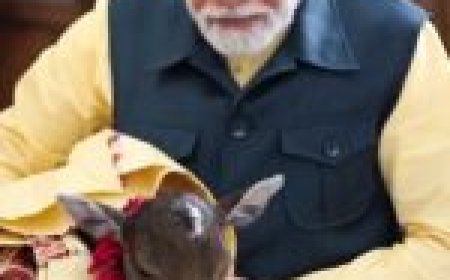 पीएम मोदी के घर में आया स्पेशल मेहमान... नामकरण भी हुआ…