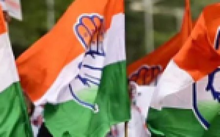 रायपुर दक्षिण विधानसभा सीट पर उपचुनाव की तैयारियां शुरू , कांग्रेस चुनाव संचालन समिति का गठन