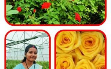 रजनी ने किया कुछ यूं, दूर तक महक रही गुलाब की खुशबू