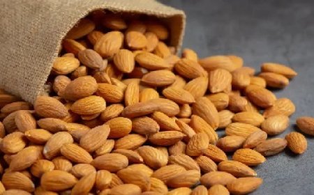 एक दिन में सिर्फ 2 बादाम खाने से सेहत को मिलेंगे ज़बरदस्त फायदे