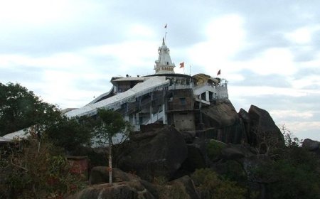 मुर्गी फार्म में बन रहा डोंगरगढ़ मंदिर का प्रसाद, मंदिर ट्रस्ट ने दी ये जानकारी....