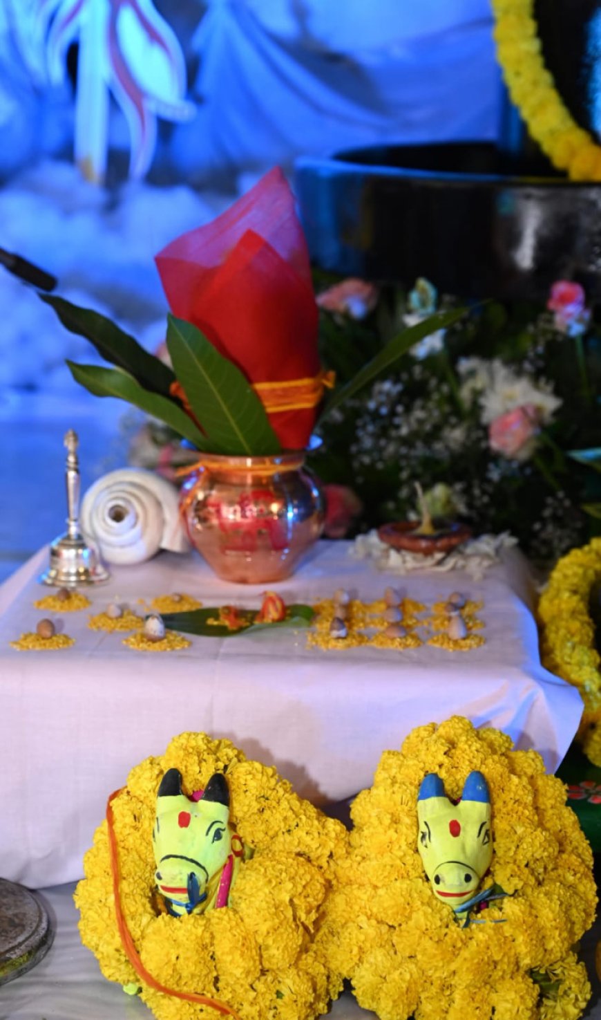 विष्णु भैया संग तीजा पोरा महतारी वंदन तिहार