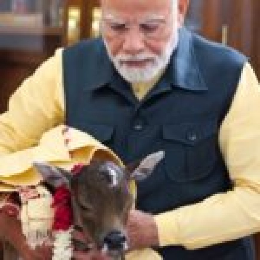 पीएम मोदी के घर में आया स्पेशल मेहमान... नामकरण भी हुआ…