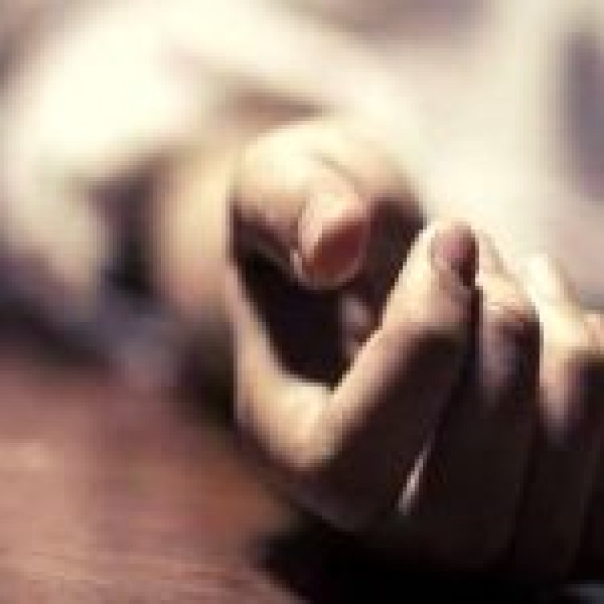 ईयरफोन ने ली दो मजदूरों की जान… ट्रेन की चपेट में आने से हुई मौत…