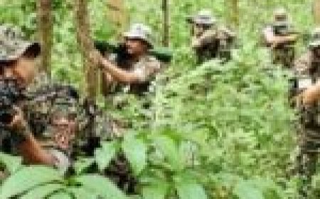 31 नक्सलियों के शव बरामद… हथियार भी मिले… छत्तीसगढ़ में अब तक की सबसे बड़ी मुठभेड़…