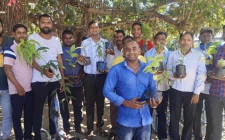 छत्तीसगढ़ पर्यावरण मित्र समिति ने विजयदशमी ,दशहरा के दिन आम लोगों को बांटे पौधे