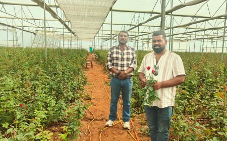 सरगुजा सहित मध्यप्रदेश के सीमावर्ती शहरों के बाजारों में बिखेर रहीं हैं छत्तीसगढ़ की खुशबू