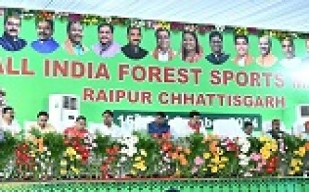 अखिल भारतीय वन खेलकूद प्रतियोगिता का भव्य आतिशबाजी के साथ हुआ आगाज , देशभर से 2920 से अधिक खिलाड़ी ले रहे हिस्सा