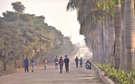 छत्‍तीसगढ़ में गुलाबी ठंड ने दी दस्‍तक