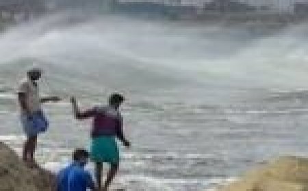 'दाना' ने दिखाया रौद्र रूप… जड़ों से उखड़े पेड़