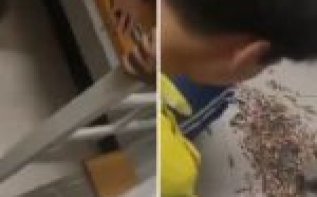 बॉयज हॉस्टल में ऐसी जगह से निकली सैंकड़ों फेंकी हुई सिगरेट… जहां कोई सोच नहीं सकता! वीडियो वायरल…