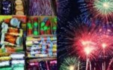इस राज्य में पटाखे पूरी तरह से बैन… जानिए और किन-किन राज्यों में लगी बंदिशें…