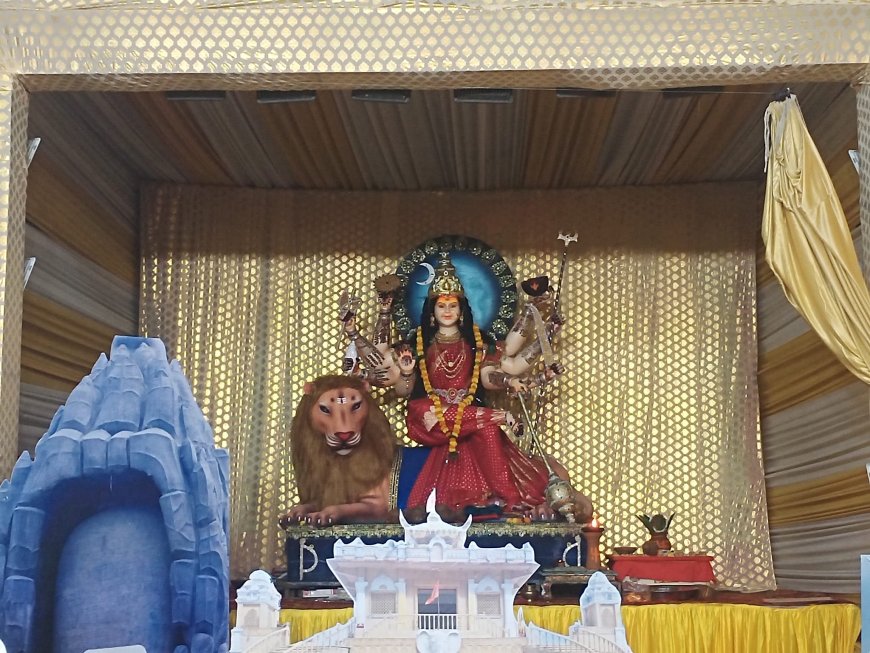 राजधानी रायपुर में दुर्गोत्सव की धूम, देखे तस्वीरें...