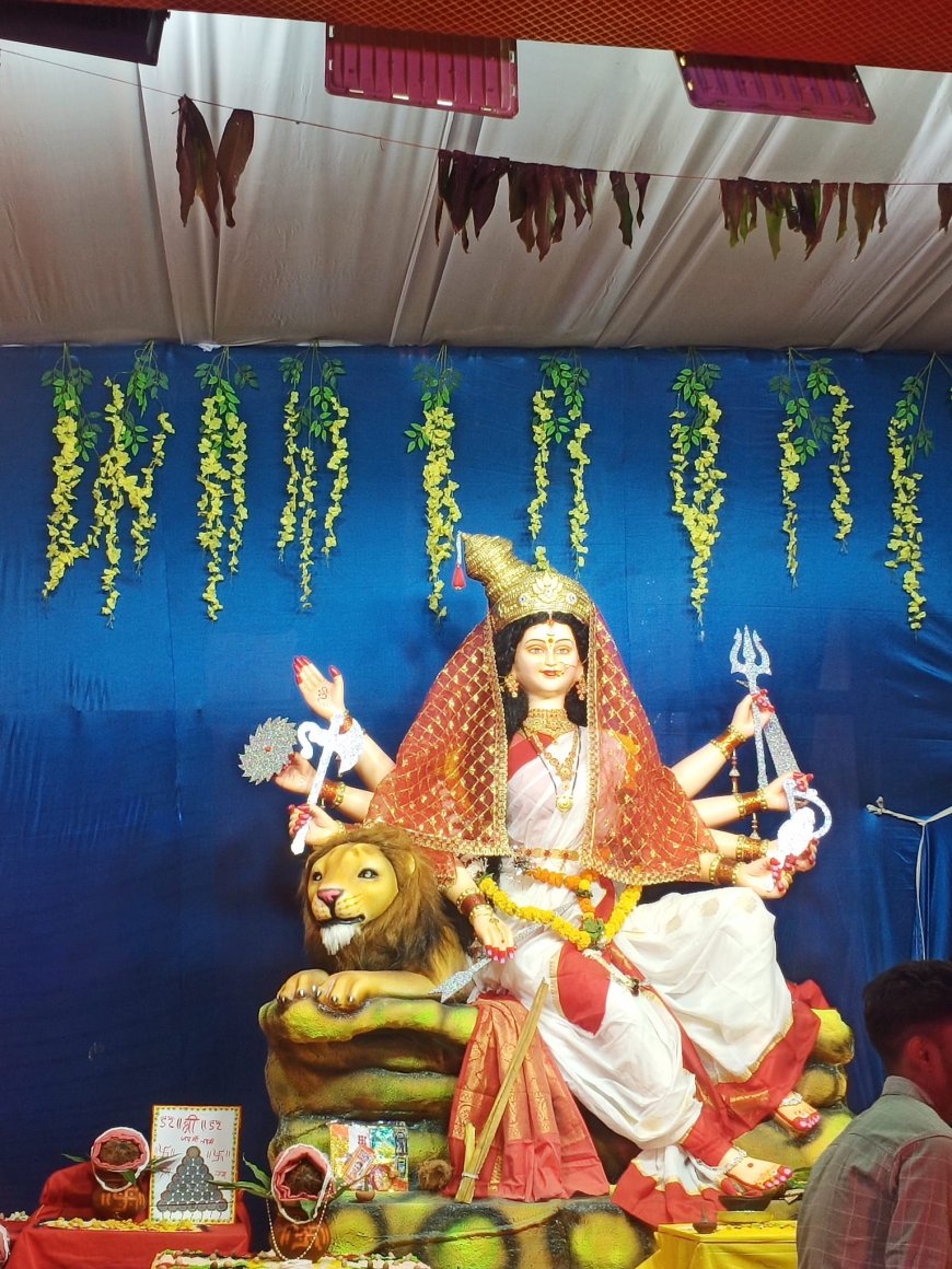 राजधानी रायपुर में दुर्गोत्सव की धूम, देखे तस्वीरें...