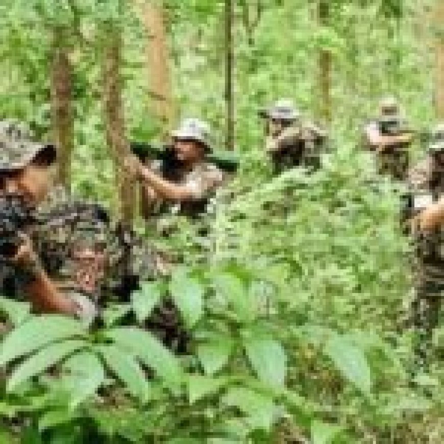 31 नक्सलियों के शव बरामद… हथियार भी मिले… छत्तीसगढ़ में अब तक की सबसे बड़ी मुठभेड़…