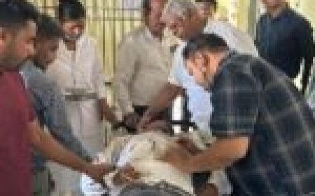 राज्योत्सव की तैयारियों के बीच बड़ा हादसा… करंट लगने से शिक्षक की मौत… समारोह स्थल पर हड़कंप…