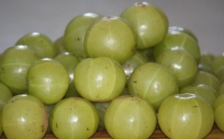 घर पर बनाएं आंवले खट्टी-मिठी डाइजेस्टिव गोली