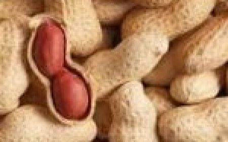 सर्दियों में मूंगफली खाने के फायदे