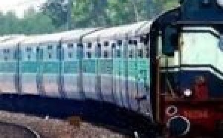 जनशताब्दी एक्सप्रेस में रेंग रहा था सांप… यात्रियों ने देखा तो मच गया हड़कंप…