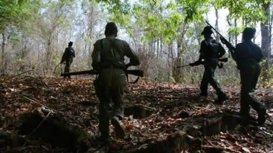 बीजापुर में मुठभेड़, 2 नक्सली ढेर