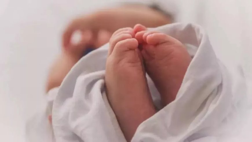 24 घंटे में 2 हॉस्पिटल में 9 नवजातों की गूंजी किलकारी