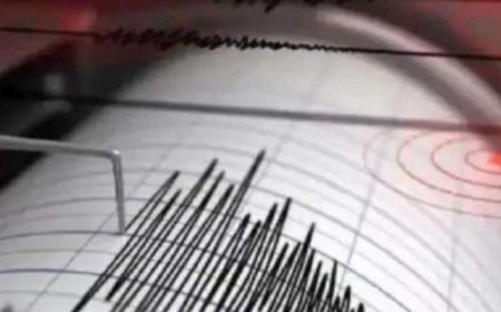 छत्तीसगढ़ में भूकंप के तेज झटके, बस्तर संभाग के कई जिलों में महसूस किए गए