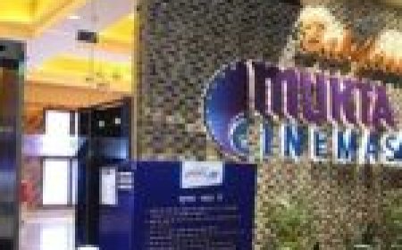 छत्तीसगढ़ : लुट गई 'पुष्पा-2' की कमाई… लाखों रुपए लेकर भाग निकले दो युवक...