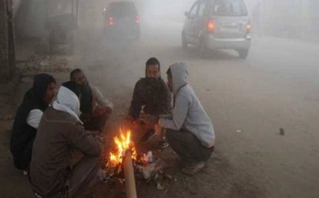 छत्तीसगढ़ में सर्द हवाओं ने बढ़ाई  ठिठुरन, जगदलपुर में 6.6 डिग्री पर गिरा पारा, 2 दिन शीतलहर का अलर्ट जारी