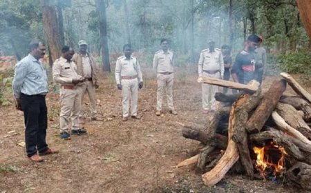घायल नीलगाय की मौत, वन विभाग ने किया अंतिम संस्कार