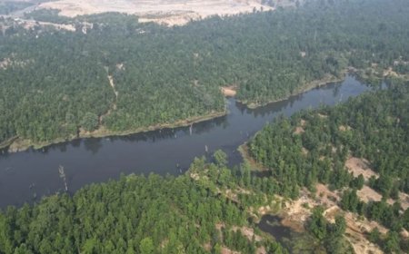 छत्तीसगढ़ ने रचा नया कीर्तिमान