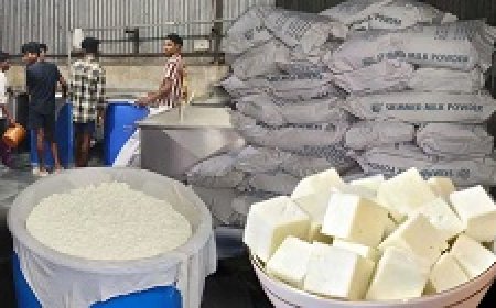 निमोरा में 4000 किलो नकली पनीर जब्त