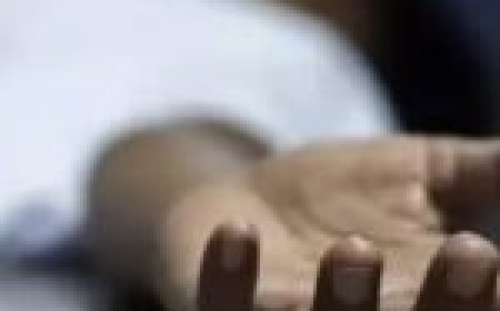 ब्रेकर ने लाई मुर्दे में जान...!, जानें कहां हुआ यह चमत्कारिक घटना...