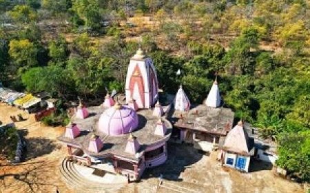 प्राकृतिक जलप्रपात, घने वन और धार्मिक स्थल के रूप में प्रसिद्ध है माॅ सियादेवी नारागांव