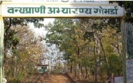 जैव विविधता को समेटा हुआ गोमर्डा अभ्यारण