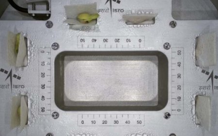 इसरो ने रचा एक और इतिहास, अंतरिक्ष में चार दिन में लोबिया में फूटे अंकुर