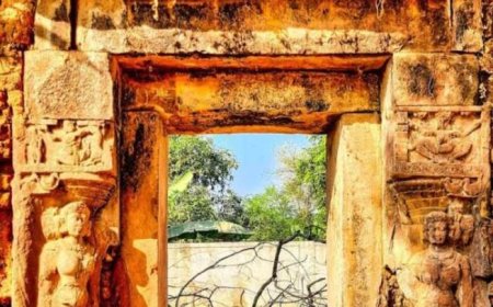 पुजेरीपाली में 1875 से अब तक कई बार पुरातत्व की खोज